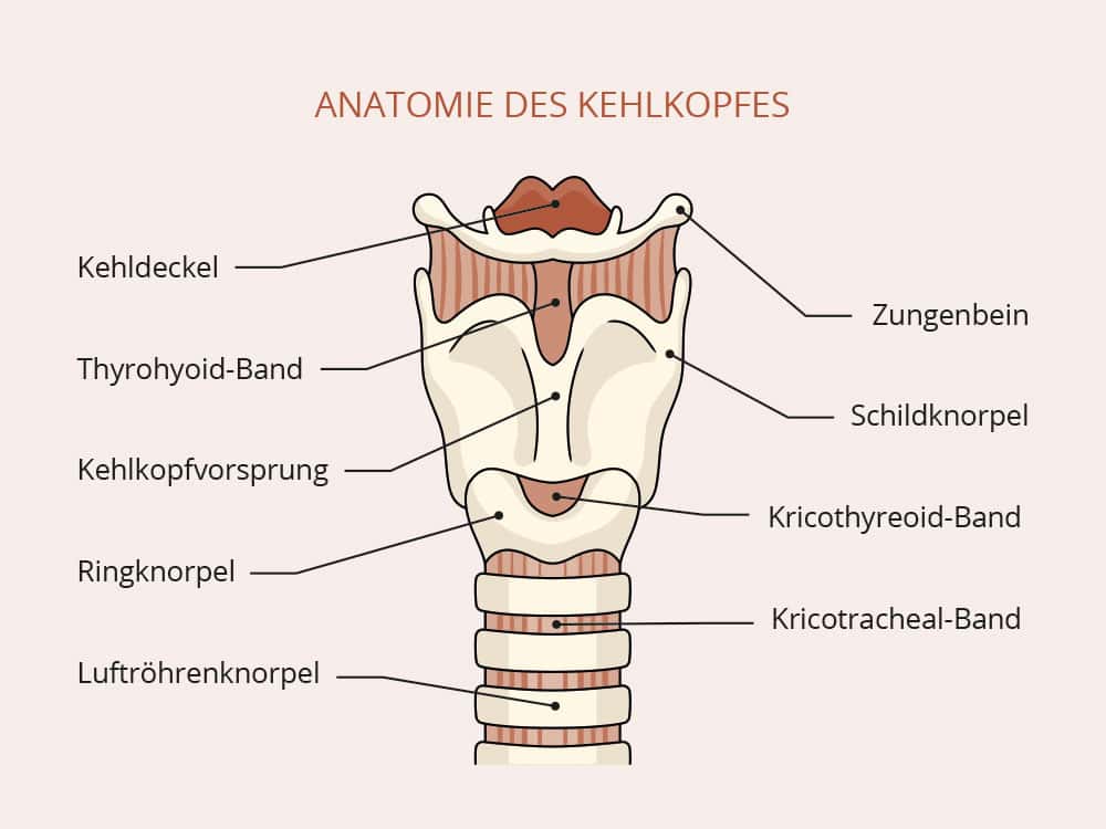 Kehlkopfkarzinom Symptome