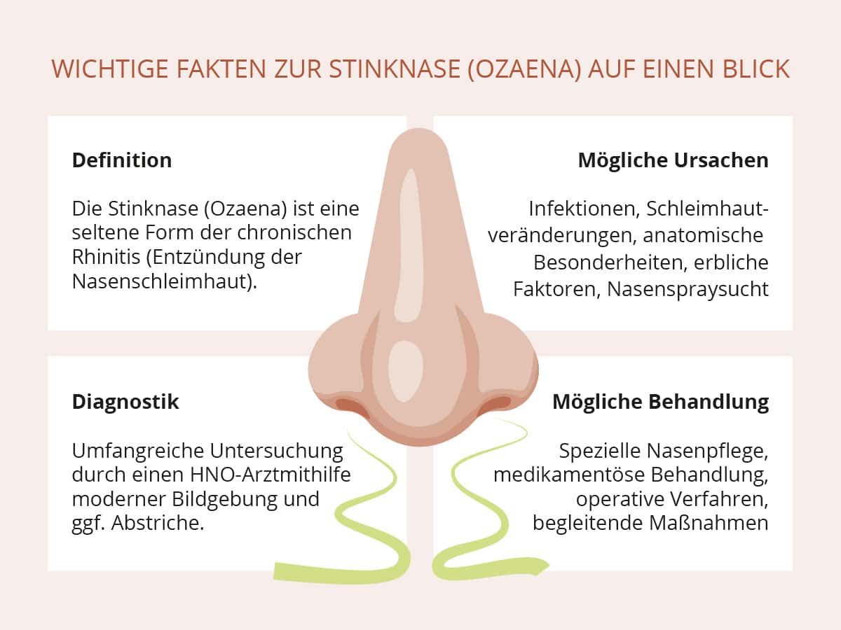 Stinknase